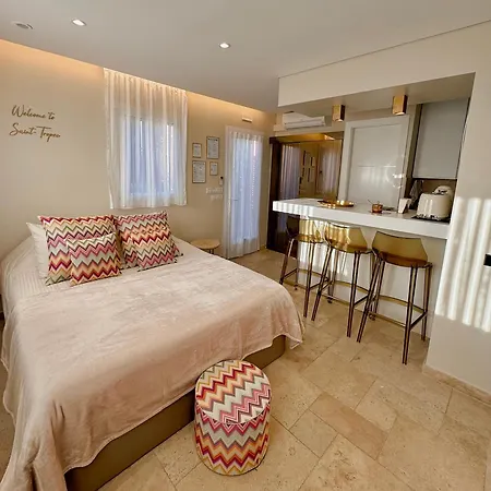 Climatise, Terrasse, Parking Prive, 50m De La Appartement Saint-Tropez